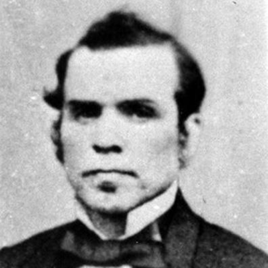 David Rees Davies (1821 - 1893) Profile
